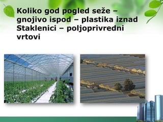 Koliko god pogled seţe –
gnojivo ispod – plastika iznad
Staklenici – poljoprivredni
vrtovi
 