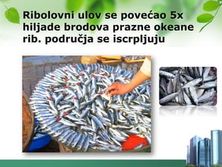 Ribolovni ulov se povećao 5x
hiljade brodova prazne okeane
rib. područja se iscrpljuju
 