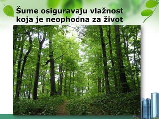 Šume osiguravaju vlaţnost
koja je neophodna za ţivot
 