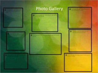 Photo Gallery