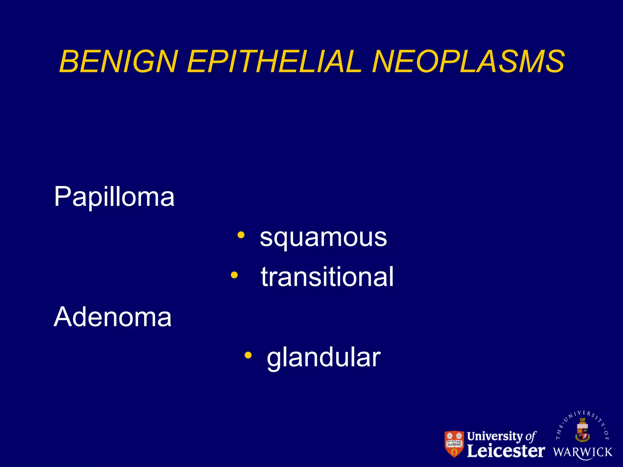 BENIGN EPITHELIAL NEOPLASMS
Papilloma
• squamous
• transitional
Adenoma
• glandular
 