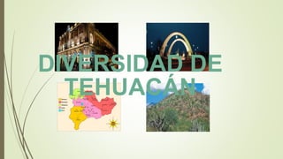 DIVERSIDAD DE
TEHUACÁN
 