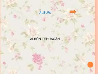 ÁLBUM
ALBÚN TEHUACÁN
 
