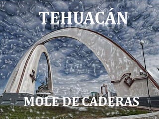 MOLE DE CADERAS
TEHUACÁN
 