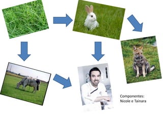 Componentes:
Nicole e Tainara
 