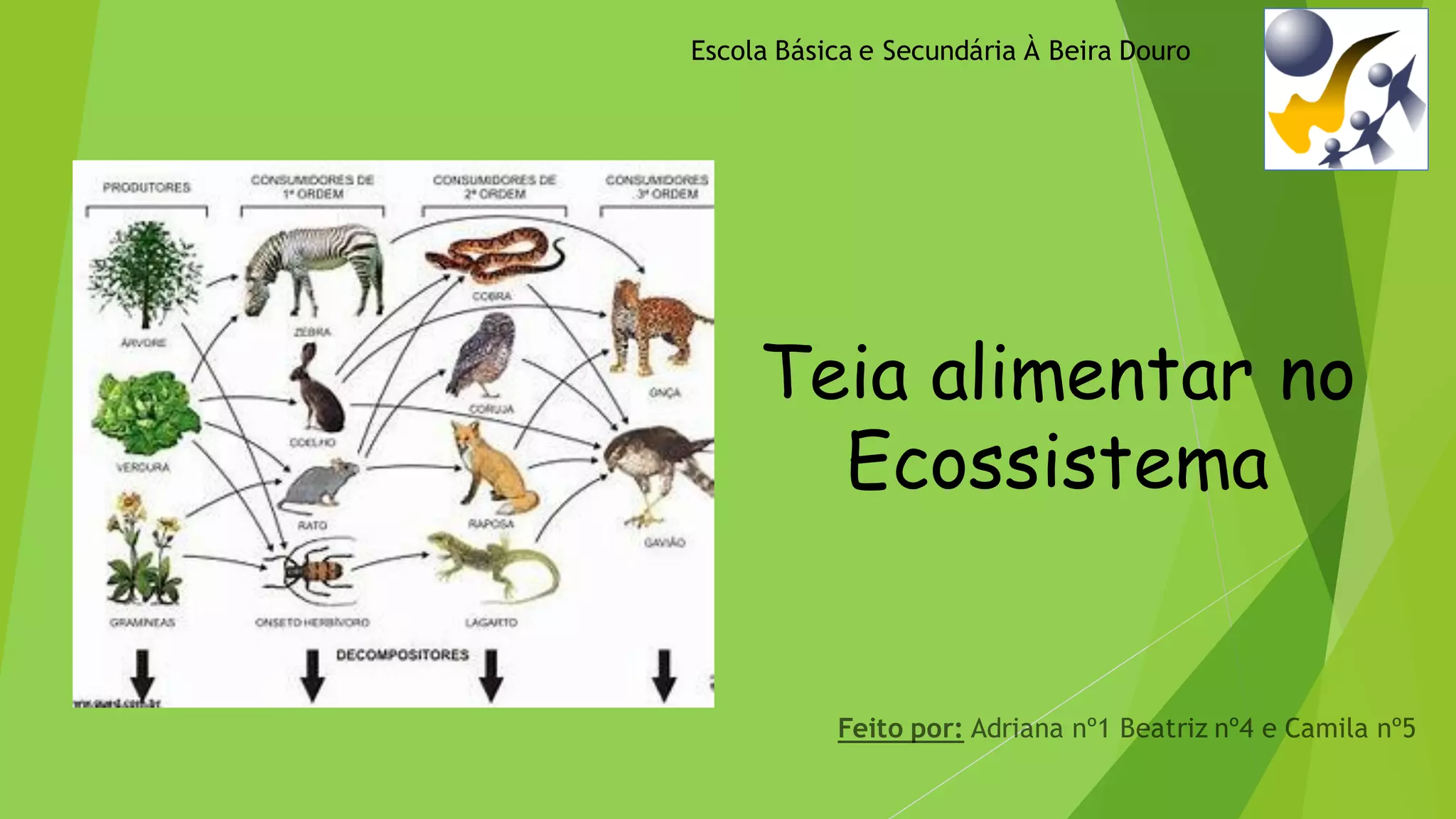 Teia Alimentar de um Ecossistema 2(Trabalho de Ciências) (2).pdf