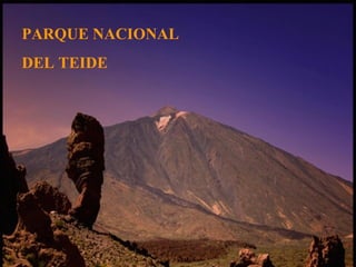 PARQUE NACIONAL  DEL TEIDE 