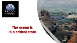 The ocean is
in a critical state
 
