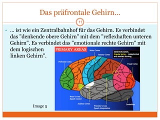 Das präfrontale Gehirn…
• … ist wie ein Zentralbahnhof für das Gehirn. Es verbindet
das "denkende obere Gehirn" mit dem "reflexhaften unteren
Gehirn". Es verbindet das "emotionale rechte Gehirn" mit
dem logischen
linken Gehirn".
Image 5
11
 