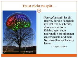 Es ist nicht zu spät…
37
Neuroplastizität ist ein
Begriff, der die Fähigkeit
des Gehirns beschreibt,
durch wiederholte
Erfahrungen neue
neuronale Verbindungen
zu entwickeln und neue
Nervenzellen wachsen zu
lassen.
• Siegel, D., 2010
Image 18
 