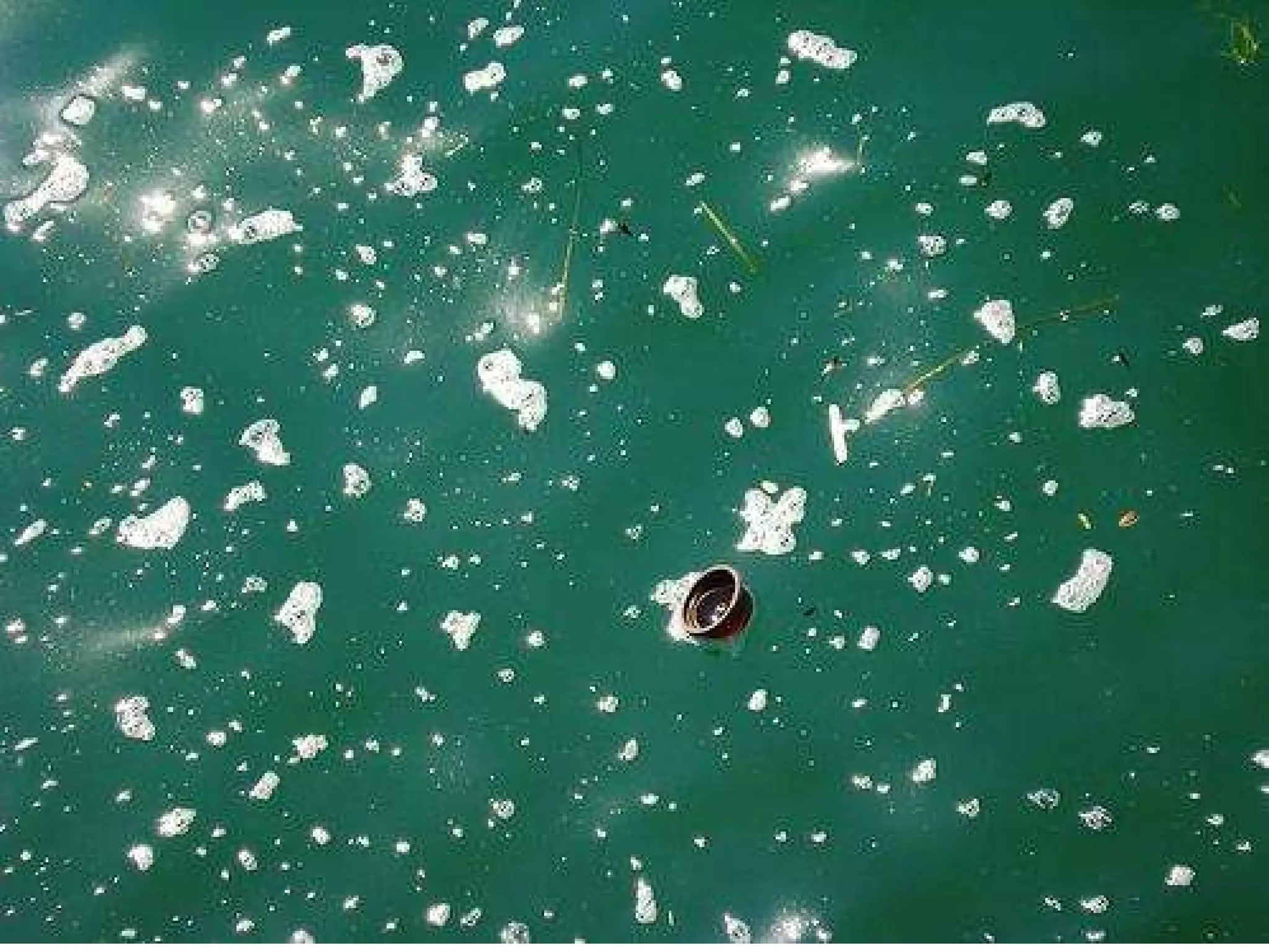 a (hypothetical?) problem  leftovers from local  olive processing - oil production facility  pollute nearby river eventually find their way to the sea 