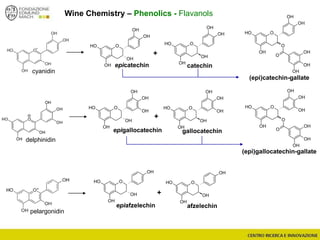 Wine Chemistry – Phenolics - Flavanols
cyanidin
delphinidin
pelargonidin
OOH
OH
OH
OH
OH
OOH
OH
OH
OH
OH
OOH
OH
OH
OH
OH
OH
OOH
OH
OH
OH
OH
OH
OOH
OH
OH
OH
OOH
OH
OH
OH
+
+
+
epicatechin catechin
epigallocatechin gallocatechin
epiafzelechin afzelechin
OOH
OH
O
OH
O
OH
OH
OH
OH
OOH
OH
O
OH
O
OH
OH
OH
OH
OH
(epi)catechin-gallate
(epi)gallocatechin-gallate
 