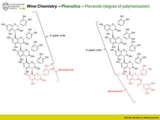 Wine Chemistry – Phenolics – Flavanols (degree of polymerization)
terminal unit
4 upper units
OOH
OH
OH
OH
OH
OOH
OH
OH
OH
OH
OOH
OH
OH
OH
OH
OOH
OH
OH
OH
OH
OOH
OH
O
OH
OH
OH
O
OH
OH
OH
OOH
OH
OH
OH
OH
OOH
OH
OH
OH
OH
OOH
OH
OH
OH
OH
OOH
OH
OH
OH
OH
OOH
OH
OH
OH
OH
terminal unit
4 upper units
 