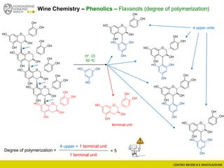 Wine Chemistry – Phenolics – Flavanols (degree of polymerization)
terminal unit
4 upper units
OOH
OH
OH
OH
OH
OOH
OH
OH
OH
OH
OOH
OH
OH
OH
OH
OOH
OH
OH
OH
OH
OOH
OH
OH
OH
OH
OH
OHOH
H+, Cl-
50 oC
OOH
OH
OH
OH
OH
OH
OH OH
Degree of polymerization =
4 upper + 1 terminal unit
1 terminal unit
= 5
OOH
OH
OH
OH
OH
OH
OH OH
OOH
OH
OH
OH
OH
OH
OH OH
OOH
OH
OH
OH
OH
OH
OH OH
O
OH
OH
OH
OH
OH
 