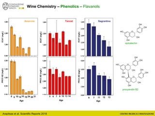 Arapitsas et al. Scientific Reports 2018
Wine Chemistry – Phenolics – Flavanols
Amarone Tannat Sagrantino
6 8 10 14 16 19 24 26 31 5 6 7 14139
Age
10
Age
O
OH
OH
OH
OH
OH
O
OH
OH
OH
OH
OH
O
OH
OH
OH
OH
OH
epicatechin
procyanidin B2
136 7 11 12
Age
 