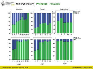 Arapitsas et al. Scientific Reports 2018
Wine Chemistry – Phenolics – Flavanols
Amarone Tannat Sagrantino
 