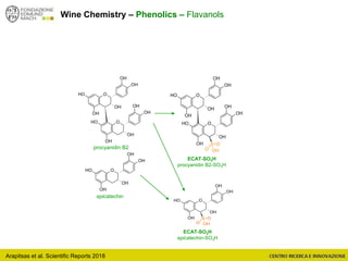 Arapitsas et al. Scientific Reports 2018
Wine Chemistry – Phenolics – Flavanols
O
OH
OH
OH
OH
OH
O
OH
OH
OH
OH
OH
O
OH
OH
OH
OH
OH
epicatechin
procyanidin B2
ECAT-SO3H
epicatechin-SO3H
ECAT-SO3H
procyanidin B2-SO3H
O
OH
OH
OH
OH
OH
S
O
O
OH
O
OH
OH
OH
OH
OH
O
OH
OH
OH
OH
OH
S
O
O
OH
 