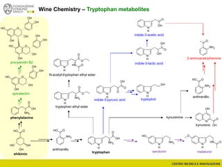 Wine Chemistry – Tryptophan metabolites
OH
NH2
N
H
O
O
NH2
OH
O
OH
N
H
OH
O
OH
N
H
OH
N
H
TOL
N
OH
O
OH
N
H
O
NH O
N
H
OH
NH2
shikimic
OH
OH
OH
OOH
OOH
NH2
O
NH2
O
O
N
H
OH
O
OH
OH
OH
OH
OH
O
OH
OH
OH
OH
OH
O
OH
OH
OH
OH
OH
O
NH
N
H
O
O
O
NH2
N
H
O
epicatechin
procyanidin B2
phenylalanine
tryptophan melatoninserotonin
tryptophan ethyl ester
N-acetyl-tryptophan ethyl ester
kynurenic
anthranillic
kynurenine
indole-3-pyruvic acid
indole-3-lactic acid
indole-3-acetic acid
tryptophol
2-aminoacetophenone
OOH
NH2
anthranillic
 