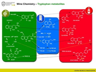 Wine Chemistry – Tryptophan metabolites
 