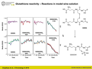 OH NH
NH
O
NH2
O
S
O
O
OH
OH NH
NH
O
NH2
O
S
O
O
OH
GSSG
OH NH
NH
O
NH2
O
S
O
O
OH
S
O OH
OGSSO3H
GSSG GSSG/SO2
10/1
GSSG/SO2
1/1
GSSG/SO2
1/10
GSSG GSSG/SO2
10/1
GSSG/SO2
1/1
GSSG/SO2
1/10
Glutathione reactivity – Reactions in model wine solution
Arapitsas et al. J Chromatogr A 2016
 