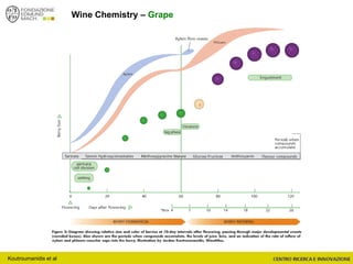 Wine Chemistry – Grape
Koutroumanidis et al
 