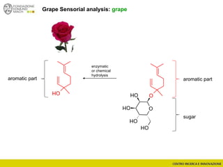 Grape Sensorial analysis: grape
aromatic part aromatic part
sugar
O
OOH
OH
OH
OH
OH
enzymatic
or chemical
hydrolysis
 
