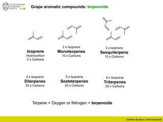 Grape aromatic compounds: terpenoids
Isoprene
Hydrocarbon
5 x Carbons
2 x Isoprene
Monoterpenes
10 x Carbons
3 x Isoprene
Sesquiterpene
15 x Carbons
4 x Isoprene
Diterpenes
20 x Carbons
5 x Isoprene
Sesteterpenes
25 x Carbons
6 x Isoprene
Triterpenes
25 x Carbons
Terpene + Oxygen or Nitrogen = terpenoids
 