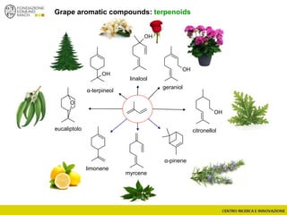 OH
α-terpineol
linalool
OH
geraniol
OH
OH
citronellol
myrcene
limonene
O
eucaliptolo
α-pinene
Grape aromatic compounds: terpenoids
 