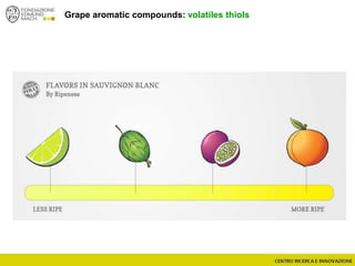 Grape aromatic compounds: volatiles thiols
 