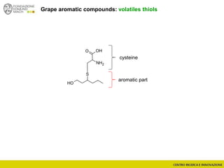 OH
S
O
NH2
OH
Grape aromatic compounds: volatiles thiols
aromatic part
cysteine
 