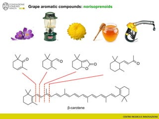 β-carotene
O
O
O
O
O
Grape aromatic compounds: norisoprenoids
 