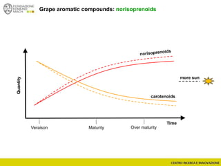 Grape aromatic compounds: norisoprenoids
Time
Quantity
carotenoids
more sun
Veraison Maturity Over maturity
 