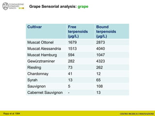 Grape Sensorial analysis: grape
Cultivar Free
terpenoids
(µg/L)
Bound
terpenoids
(µg/L)
Muscat Ottonel 1679 2873
Muscat Alessandria 1513 4040
Muscat Hamburg 594 1047
Gewürztraminer 282 4323
Riesling 73 262
Chardonnay 41 12
Syrah 13 65
Sauvignon 5 108
Cabernet Sauvignon - 13
Rapp et al 1984
 