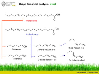 Grape Sensorial analysis: must
O
1-hexanol
OH OH OH
OO
1-hexanal
3-trans-hexan-1-ol
3-trans-hexan-1-al
3-cis-hexan-1-ol
3-cis-hexan-1-al
O
OH
O
OH
linoleic acid
linolenic acid
 