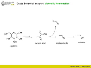 Grape Sensorial analysis: alcoholic fermentation
OH
O
O
O OH
OH
OH
OH
OH
O
O
OH
O
glucose
pyruvic acid acetaldehyde ethanol
 