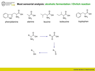 O
NH2
OH
O
NH2
R
OH
O
O
R
OH
O
R
OH
R
O
NH2
OH
O
NH2
NH
OH
O
NH2
OH
O
NH2
OH
Must sensorial analysis: alcoholic fermentation / Ehrlich reaction
tryptophanphenylalanine leucine isoleucinealanine
 
