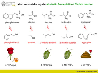 OH
O
NH2
OH
O
NH2
OH
O
NH2
NH
OH
OH
NH
O
NH2
OH
O
NH2
OH
OH
OH
Must sensorial analysis: alcoholic fermentation / Ehrlich reaction
tryptophanphenylalanine leucine isoleucinealanine
OH
phenyl-ethanol ethanol 3-methyl-butanol tryptophol2-methyl-butanol
4-197 mg/L 6-490 mg/L 2-150 mg/L 2-30 mg/L
 