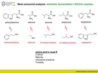 OH
O
NH2
OH
O
NH2
OH
O
NH2
NH
OH
OH
NH
O
NH2
OH
O
NH2
OH
OH
OH
Must sensorial analysis: alcoholic fermentation / Ehrlich reaction
tryptophanphenylalanine leucine isoleucinealanine
OH
phenyl-ethanol ethanol 3-methyl-butanol tryptophol2-methyl-butanol
amino acid in must ft
Cultivar
Maturity
Viticulture practices
Turbidity
 