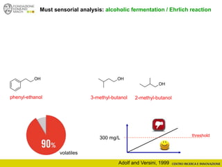 OH
OH
OH
Must sensorial analysis: alcoholic fermentation / Ehrlich reaction
phenyl-ethanol 3-methyl-butanol 2-methyl-butanol
volatiles
threshold
300 mg/L
Adolf and Versini, 1999
 