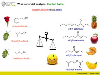 Wine sensorial analysis: the first battle
O
O
O
O
O
O
ethyl butanoate
ethyl hexanoate
ethyl octanoate
O
O
isoamyl acetate
OH
OH
OH
phenyl-ethanol
3-methyl-butanol
2-methyl-butanol
superior alcohol versus esters
 