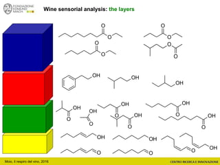 O
OHOH
OH
OO
Wine sensorial analysis: the layers
O
OH
OH
O
OH
O
OH
O
OH
O OH
O
OH
OH
OH
O
O
O
O
O
O
O
O
Moio, il respiro del vino, 2016
 