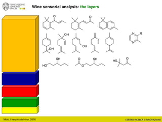 Wine sensorial analysis: the layers
O O
OH
OH
OH
O
SH
OH
SH
O
SHO
N
N
R
Moio, il respiro del vino, 2016
 