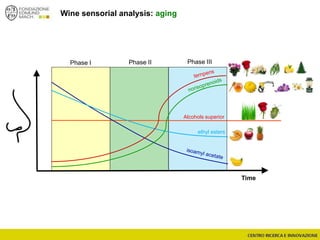 Wine sensorial analysis: aging
Time
ethyl esters
Alcohols superior
Phase I Phase II Phase III
 