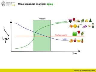 Wine sensorial analysis: aging
Time
esters
Alcohols superior
Phase II
 