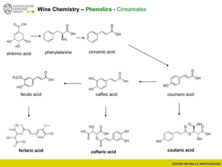 Wine Chemistry – Phenolics - Cinnamates
shikimic acid phenylalanine cinnamic acid
coumaric acid
coutaric acidfertaric acid caftaric acid
caffeic acidferulic acid
 