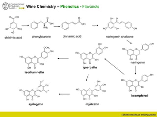 Wine Chemistry – Phenolics - Flavonols
shikimic acid phenylalanine cinnamic acid
naringenin
myricetinsyringetin
quercetin
keampferol
isorhamnetin
naringenin chalcone
 