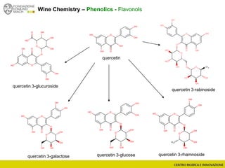 Wine Chemistry – Phenolics - Flavonols
quercetin
quercetin 3-rabinoside
quercetin 3-glucuroside
quercetin 3-galactose quercetin 3-rhamnosidequercetin 3-glucose
 