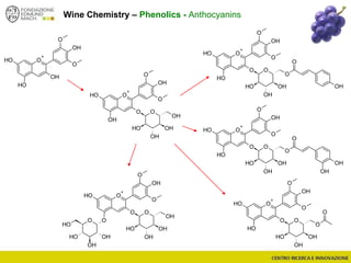Wine Chemistry – Phenolics - Anthocyanins
O
+
OH
OH
O
OH
O
OO
OH
OH
OH
OH
O O
OH
OH
OH
OH
O
+
OH
O
OH
O
OO
OH
OH
OH
OH
OH
O
+
OH
O
OH
O
OO
OH
OH
OH
O
O
OH
OH
O
+
OH
O
OH
O
OO
OH
OH
OH
O
O
OH
OH
OH
O
+
OH
O
OH
O
OO
OH
OH
OH
O
O
OH
O
+
OH
O
OH
O
OH
 