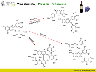 Wine Chemistry – Phenolics - Anthocyanins
OH
OOH
OH
OH
OH
OH
O
+
OH
O
OH
O
OO
OH
OH
OH
OH
O
+
O
OH
OH
O
O OH
OH
OH
OH
OH
O
OH
O
OH
OH
OH
OH
O
+
O
OH
OH
O
O
OH
OH
OH
OH
O
OH
OH
O
OH
OH
OH
OH
O
+
OH
OH
O
OH
O
OO
OH
OH
OH
OH
 
