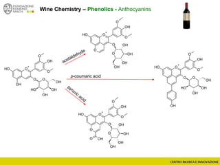 Wine Chemistry – Phenolics - Anthocyanins
O
+
OH
OH
O
OH
O
OO
OH
OH
OH
OH
O
+
O
OH
OH
O
O OH
OH
OH
OH
O
O
O
+
O
OH
OH
O
O OH
OH
OH
OH
O
O OH
O
O
+
OH
O
OH
O
OO
OH
OH
OH
OH
OH
p-coumaric acid
 
